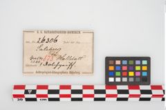 Etikett zu Bronzeantennendolchgriff (NHMW-PRAE-026306)